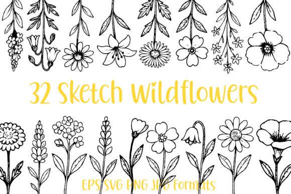 32 Wildflower Floral Sketch Illustration: Elevate Your Visual Design